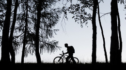 Силуэт велосипедиста в лесу / Во время покатушки под Марфино