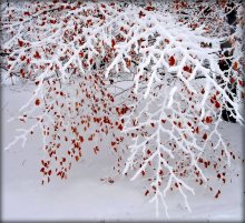 каляндарны настрой. валянцін / .....