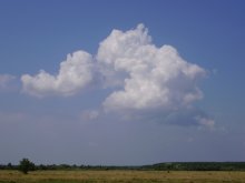 Неожиданная в зной тучка / Разгар лета, дожя уже нет несколько недель. Но и из этой тучи врядли пойдет дождик.