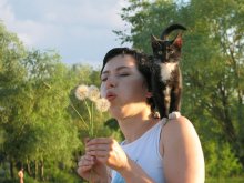 Одуванчики / Лето- это маленькая жизнь...