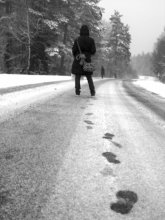 по следам / 25 марта 2008