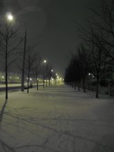 Одинокая улица / мартовская ночь