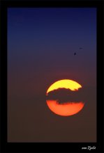 Sleeping sun / 500 мм.
цвета натуральные. 
слегка усилен градиент неба.