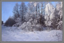 Зимний пейзаж / Декабрь. Выпал долгожданный снег.