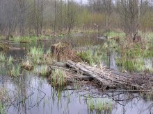 Корабли на воду / Приплыли...