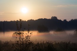 Ганченский рассвет / прохладный туман над полем.