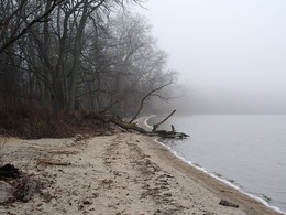 Туман над озером / Утро, озеро, туман