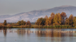 Осень не за горами / Агамон Ахула, Израиль. 2015г.