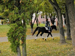 В парке / ***