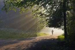 К прогулкам в одиночестве пристрастье.... / Петербург. Шуваловский парк