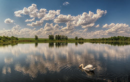 Солнечным днем на озере / По дороге Гродно-Берестовица. 2016г.