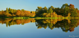 Отражение осени / Осень на реке Березина