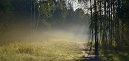 Летнее утро.... / Петербург. Парголово