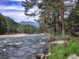 река Чемал / река Чемал в селе Чемал, Горный Алтай.