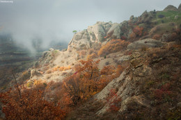 Прогулки по Демерджи / Осень