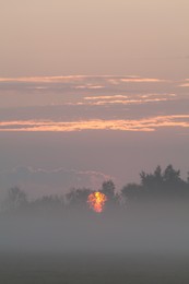 Туманное утро... / Рассвет в Тамбовской области