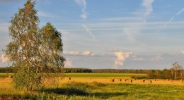 покойно / вечер, начало августа, заканчивается уборка, красиво