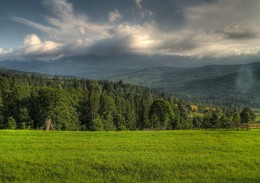 Небесная шаль / Вид на вечерний Петрос со стороны Лазещины (Закарпатье). Июль 2016 г.

«А жизнь, словно небесный лепесток,
Ещё немного - будет сорван ветром,
Единожды присвоенный восторг
Мистически смещён небесным вектором.

Я наслаждаюсь каплею смолы,
Присутствую, участвую, вдыхаю,
Но рамки вдруг становятся малы -
Не просто балансировать по краю.

А мне бы шаль из солнечных лучей,
А мне бы поцелуй шального ветра,
Да только поцелуи всё горчей,
И солнце стало как-то неприветно.

Мне осень свяжет тёплые носки,
А мне бы чешки или же пуанты,
Она велит мне чахнуть от тоски,
А я ей посвящаю фолианты!

Земных забот земная круговерть -
На жертвенник возложены улыбки,
Но, слава Богу, кто-то взял мольберт
И срисовал судьбы моей обрывки »
 
Оксана Небесная Гамза