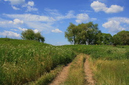 скромно о лете / летняя зарисовка