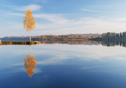 Осенние затишье / Латвия, река Даугава .