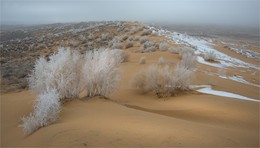 Бетпа́к-Дала́, ...- Северная Голодная степь ..... / юг Казахстана
