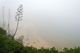 Полуденный туман / Салоу, Испания. Посреди бела дня с моря пришел густой туман. Стремительно и абсолютно внезапно для отдыхающих. Обошлось без жертв)
Вариант ч/б:
[img]http://s019.radikal.ru/i608/1608/9c/1f34b4436b65.jpg[/img]

P.S. Слева - это не деревья, это цветёт агава. Птичка там и была)