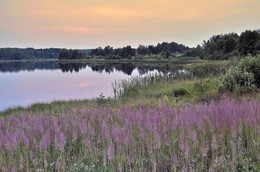 Вечер на природе / Тихий вечер. Безветрие. Солнце садится.
Тень от леса ложится на озера гладь.
Щебетать прекращают усталые птицы,
Стало пение их постепенно стихать. 
Словно в зеркале, в глади прозрачной озёрной
Отражается ближнего леса стена,
Горизонт лёгкой дымкой белёсой подёрнут,
Над примолкшей округой царит тишина.