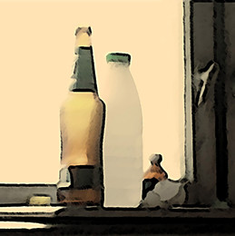 #17 / Бутылки перед окном
