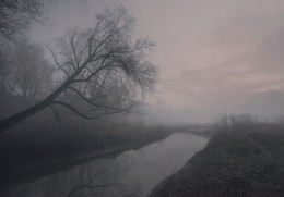 Туман / Река Трубеж, Рязань
