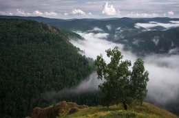 Над туманом.... / Красноярский край Торгашинский хребет