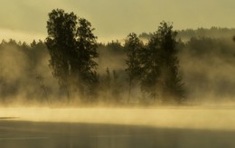 Утром туманным.... / Петербург. Осиновая Роща