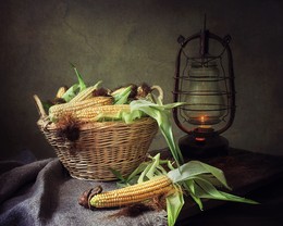Натюрморт с кукурузой / классический натюрморт