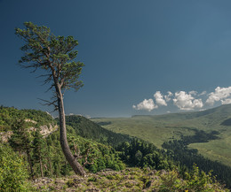 Плато Лаго-Наки / Адыгея