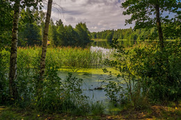 Август озеро в лесу / Август озеро в лесу