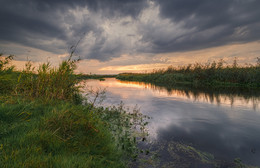 р. Ислочь / Гродненская область, 2015г.