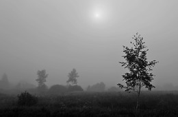 Туман / Август, туманы всё чаще...