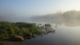 утро Березины / река Березина туман