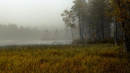Туман на озере Чёрном... / Вологодчина