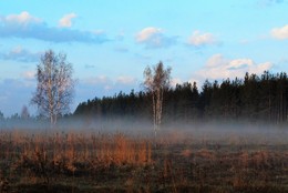 Утро туманное. / Туман освежает картину природы, делает загадочной картину.