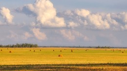 деревенские будни / конец лета, вечер, уборка зерновых заканчивается