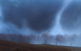 &nbsp; / Украина. Карпаты