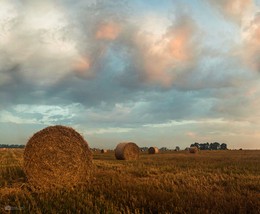 Расвет на поле / Панорама з 7 вертекальных снимков