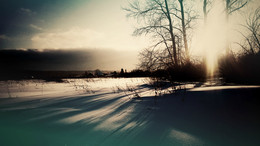 Тени на снегу / Зима и голые деревья