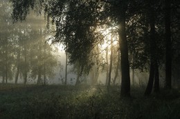 Утро лучистое / Заблудился в лесу туман...