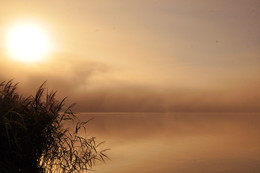 Мистика туманного утра. / Туманное утро на озере.