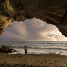 Я говорю вам &quot;До свидания!&quot; / Незнакомец на калифорнийском пляже.
В небе стая пеликанов.