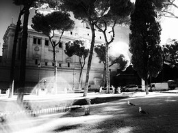 Чайки возле Piazza Venezia в Риме в феврале 2015 / Чайки возле Piazza Venezia в Риме в феврале 2015