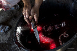 Кровь / Тени забытых предков