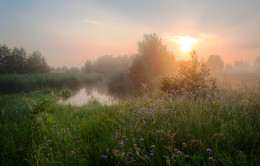 Утро окутанное туманом / Утро в глубинке Воронежской области