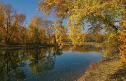 Осенние краски / Остров отдыха в Абакане Хакасия